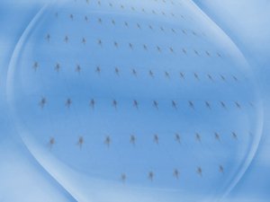 內蒙古自治區物理儀器有限責任公司