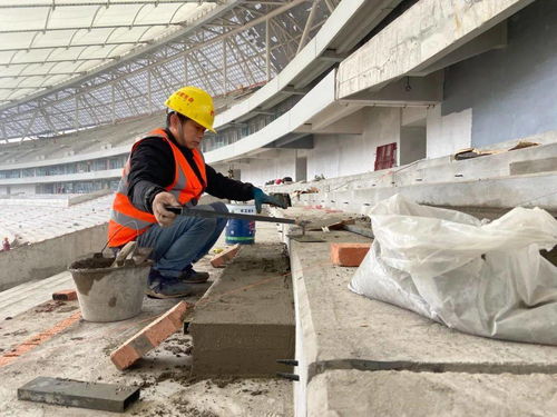 樂山奧體中心 全力推進內裝工程 確保明年8月前竣工投運